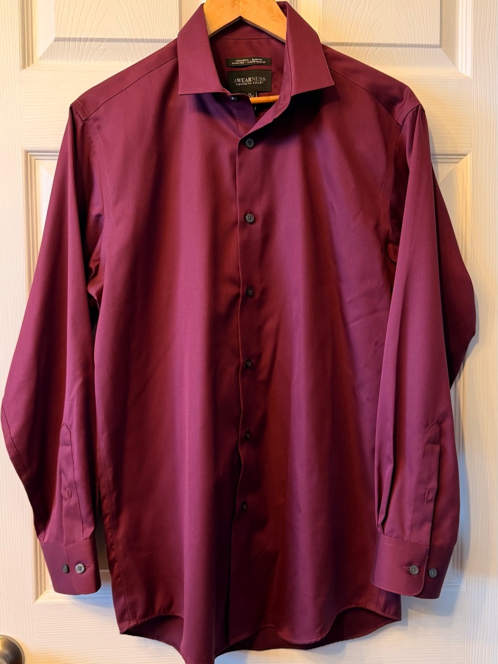 Kenneth Cole Men's Plum Dress Shirt